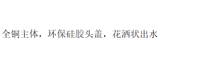 SV22B 花洒喷阀